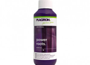 PLAGRON Power Roots 1 L
