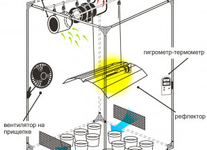 Аксессуары в Гроубокс 1000W