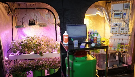 Готовый гроубокс с автоматикой E-mode